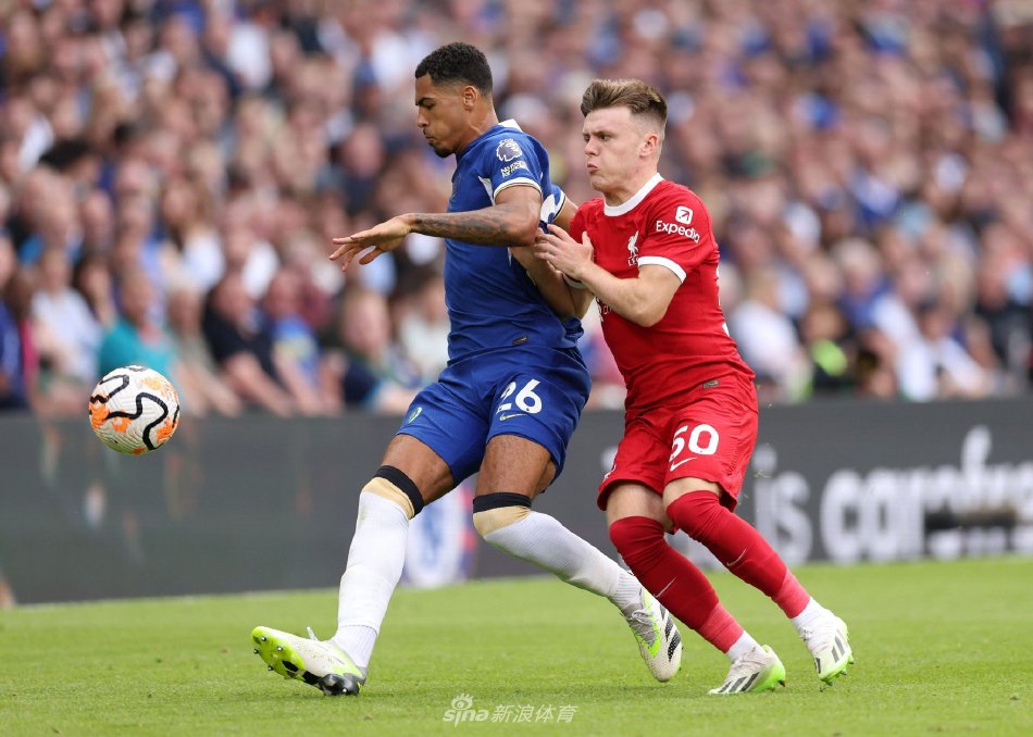 年轻球员的 年轻球员的