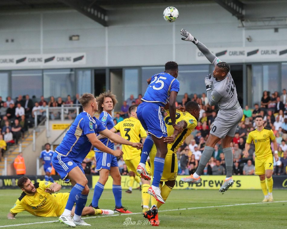 伯恩利的顽 伯恩利的顽